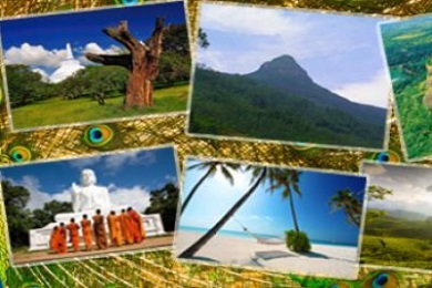 Wildlife Nature Adventure 10 Days